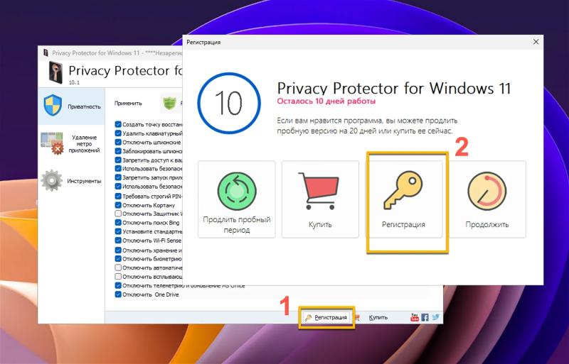 Privacy Protector для Windows 11 и Windows 10  – бесплатная лицензия