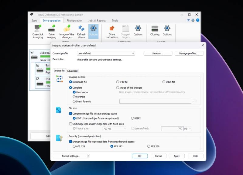 O&O DiskImage 20 Professional для Windows – бесплатная лицензия (пожизненная)